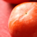 果宝柿
