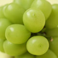 �V���i�����ς�j